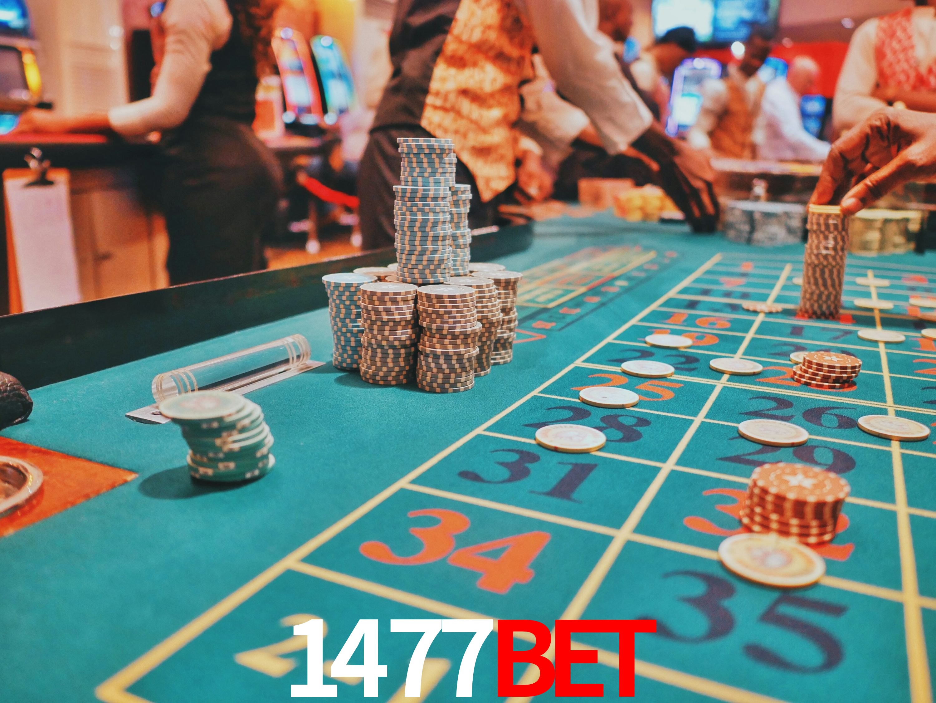 Casino Ao Vivo 1477bet
